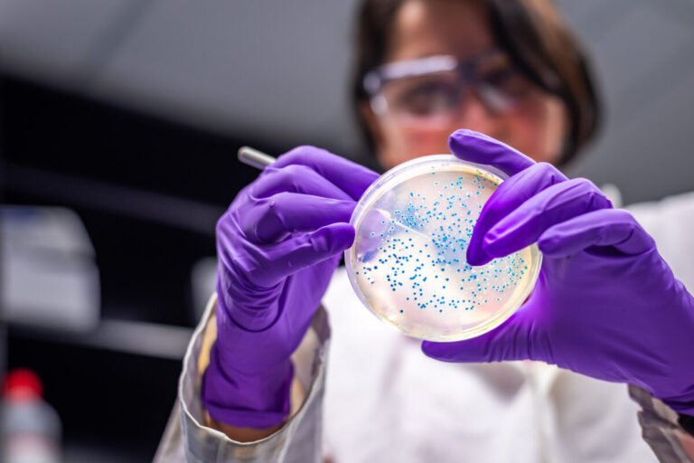 E. coli desarrolla nuevas estrategias de adhesión intestinal tras perder su mecanismo principal