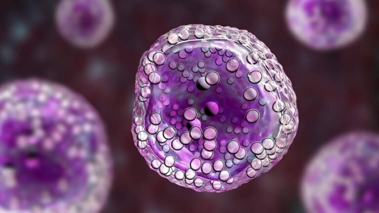 Nutrición Celular y Metabolismo: ¿De Qué se Alimentan Realmente Nuestras Células?