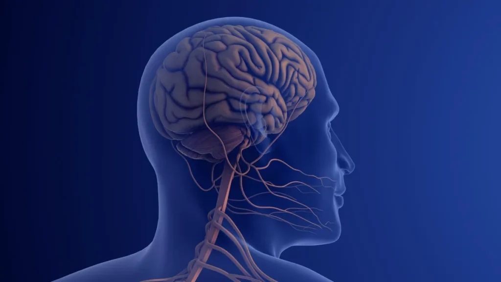 Neuralgia del Trigémino: Comprendiendo el Considerado Peor Dolor del Mundo