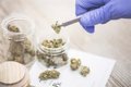 Ilustración médica sobre el cannabis medicinal y su impacto científico en el tratamiento del insomnio y la salud del sueño.