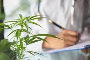 Cannabis Frecuente y Epilepsia: Mayor Gravedad y Riesgo de Convulsiones
