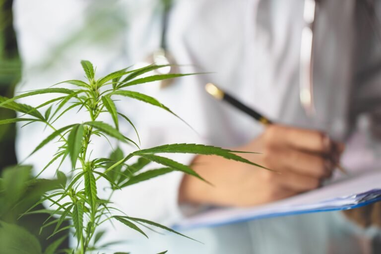 Cannabis Frecuente y Epilepsia: Mayor Gravedad y Riesgo de Convulsiones
