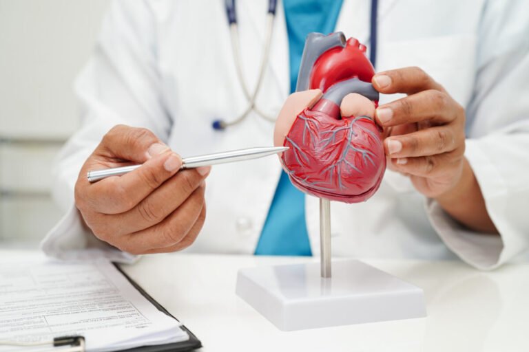 Estrategia Europea Safe Hearts Plan: Chequeos Cardiovasculares y Prevención Precoz