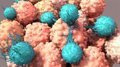 Envejecimiento del Sistema Inmune: Picos Críticos a los 40 y 60 Años y Diferencias por Sexo