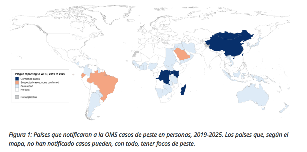 Peste Neumónica: Qué es, Síntomas Clínicos, Contagio y Tratamiento Actual