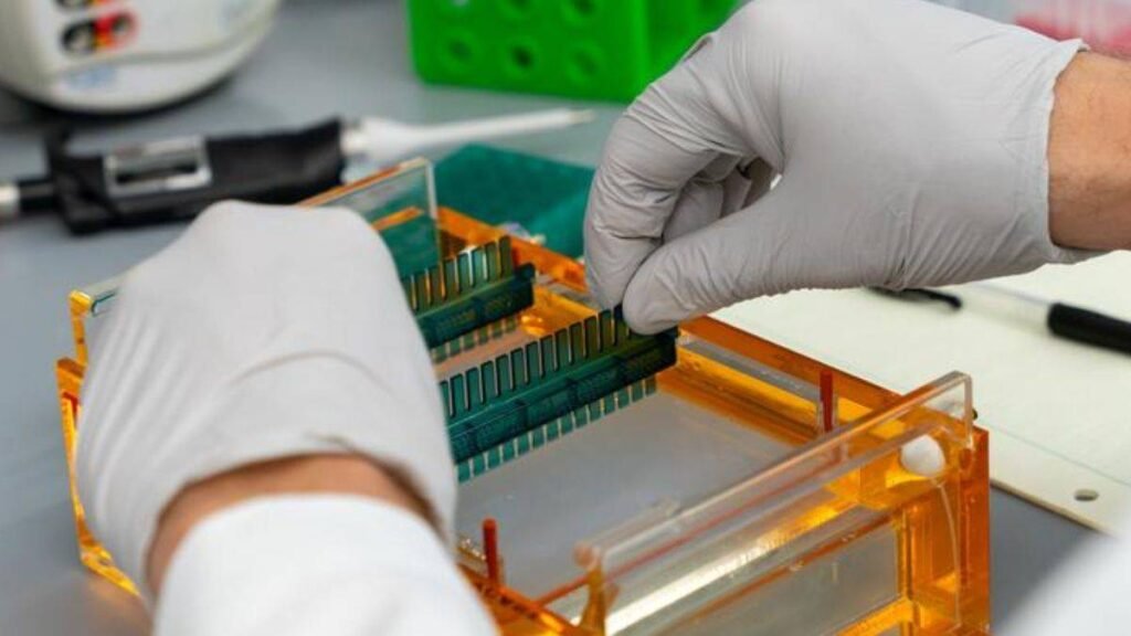 Un Gen Relacionado con la Grasa Abre Nuevas Vías para Entender la Anorexia